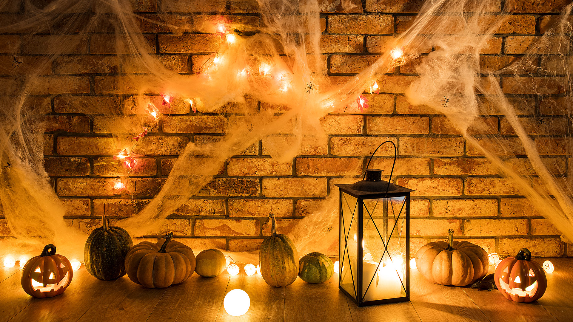 Birkenstudio Halloween-Kürbisse vor Steinwand